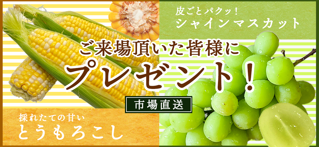 アートボード 3-Jul-04-2025-02-16-58-4678-AM