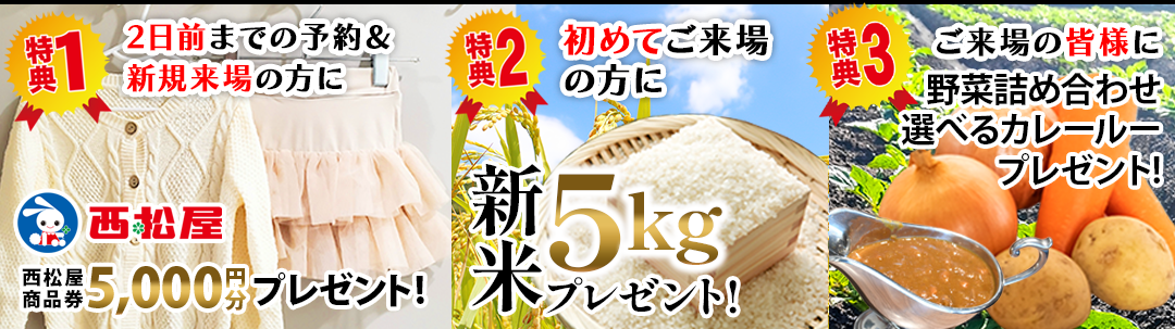 インセンティブ 1