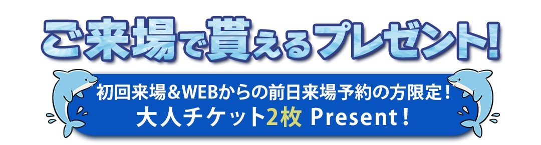 イルカウォッチング