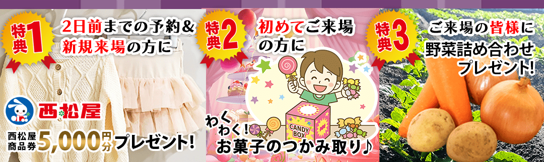 インセンティブ 19