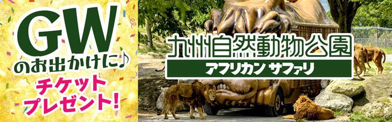 アフリカンサファリチケットプレゼント