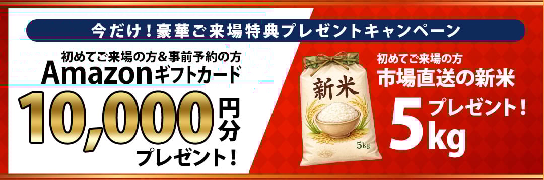 インセンティブ-Feb-25-2026-12-49-03-8575-AM