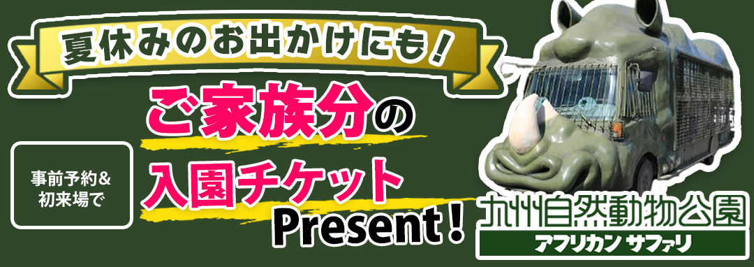 サファリ_インセンティブ