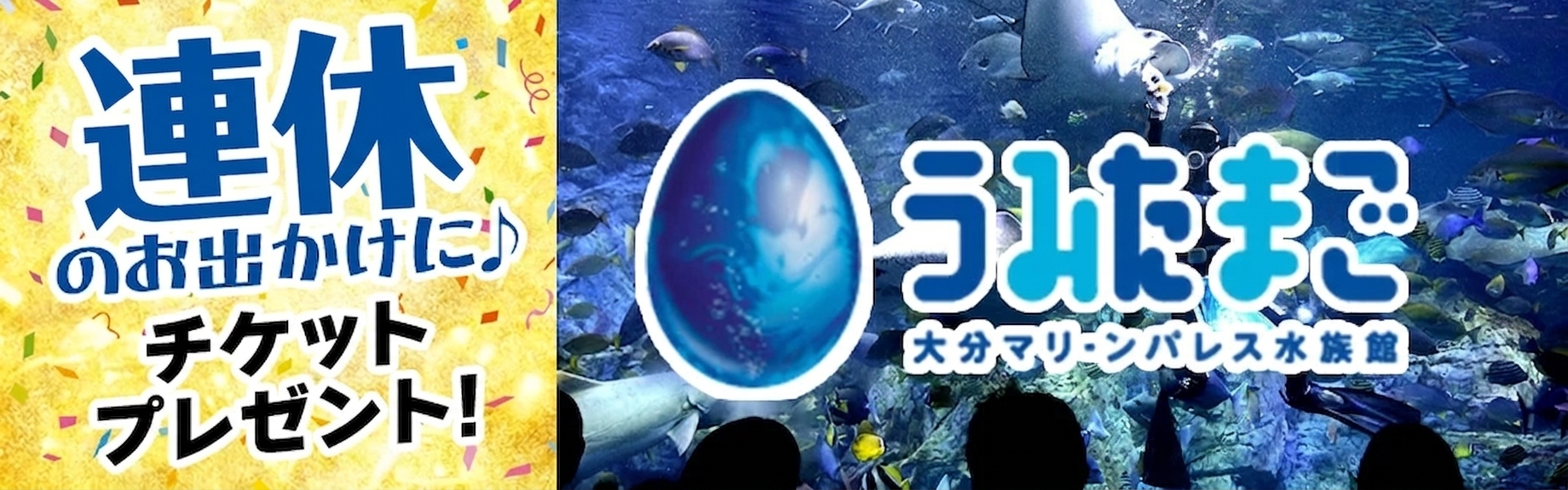 01e316ec-e5d2-48b6-9f2c-f321f27b21d3