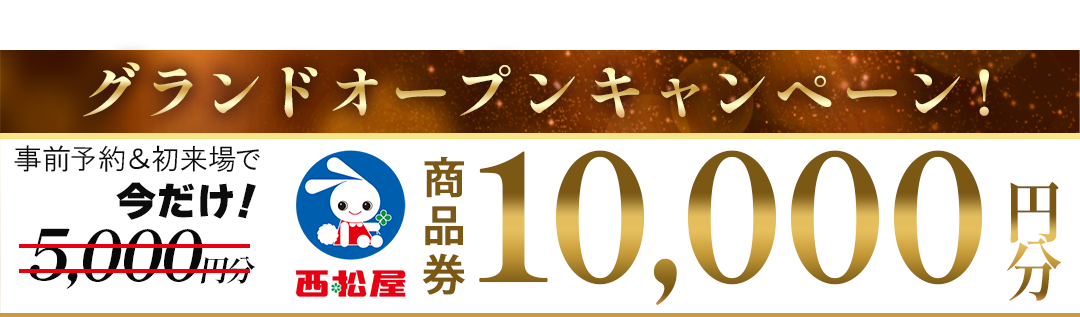 1013インセンティブ (1)