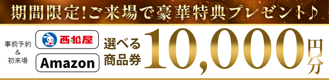 1068インセンティブ