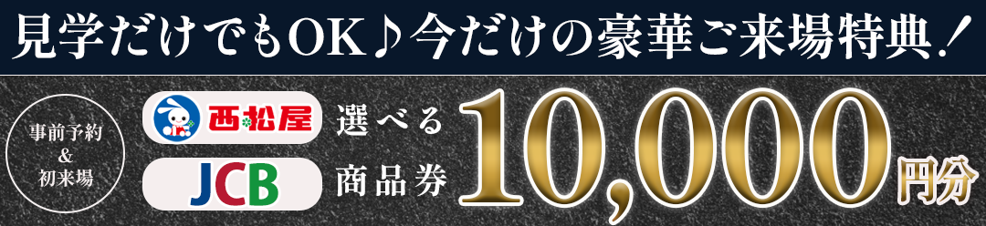1091インセンティブ