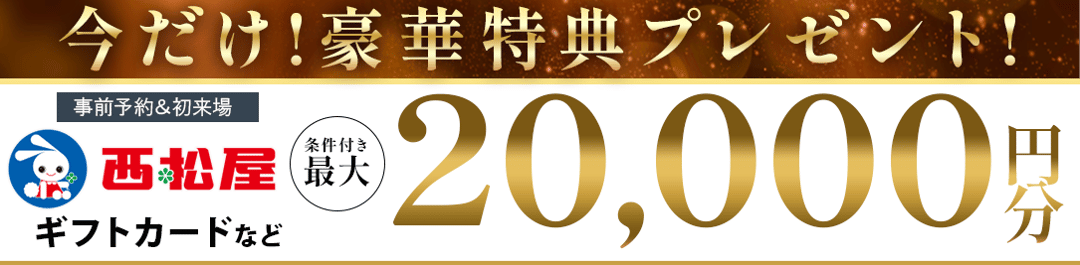 1176インセンティブ-1