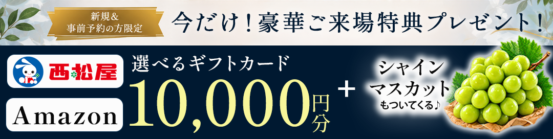 1181インセンティブ