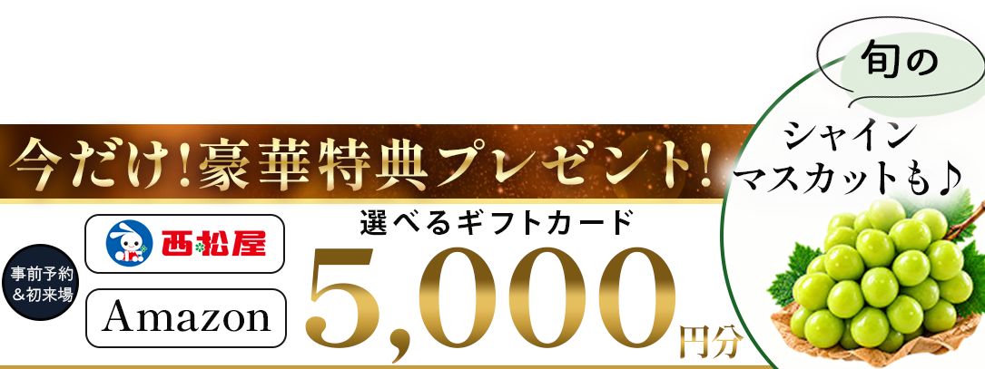 1197インセンティブ