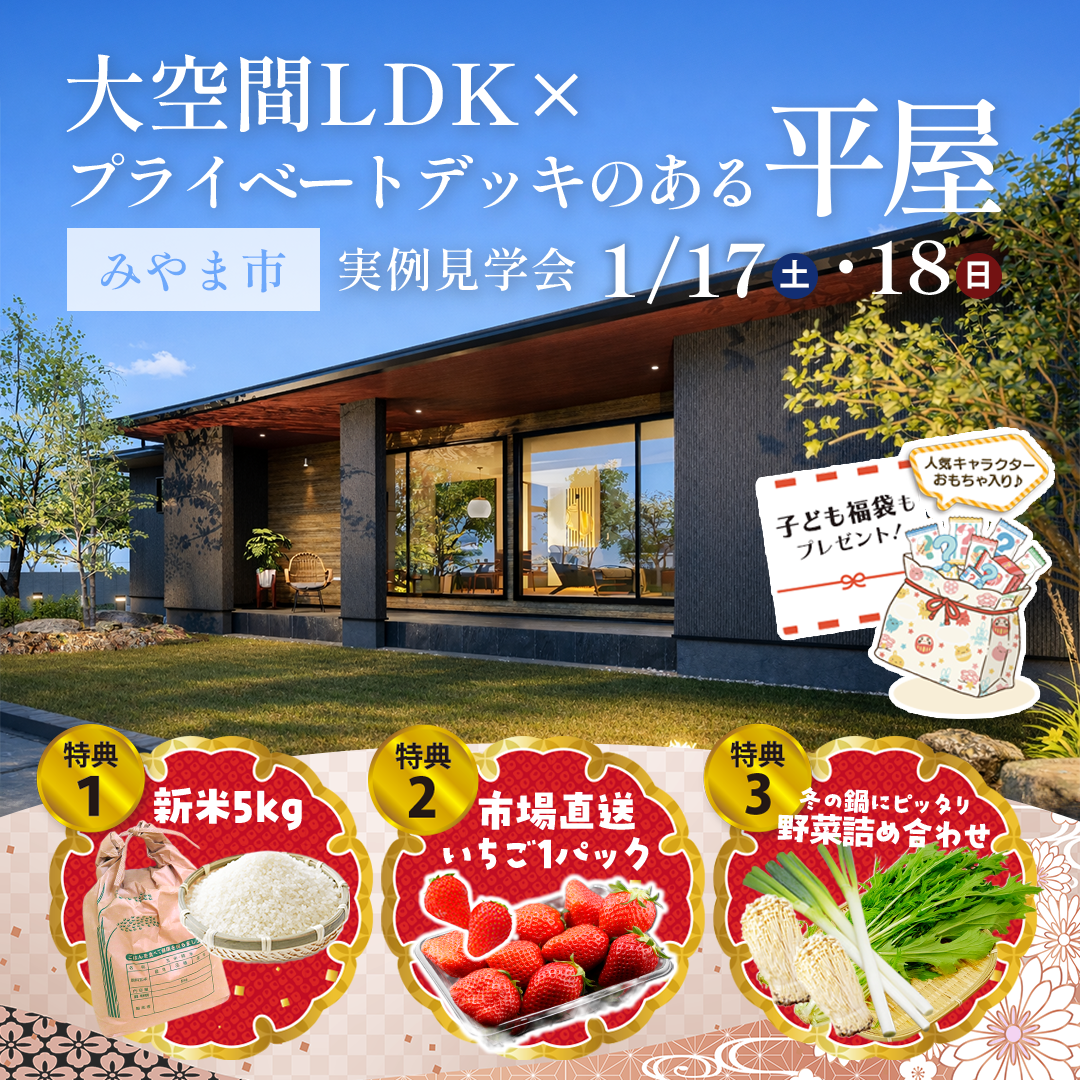 No798_001_A_1080_1080_フィード