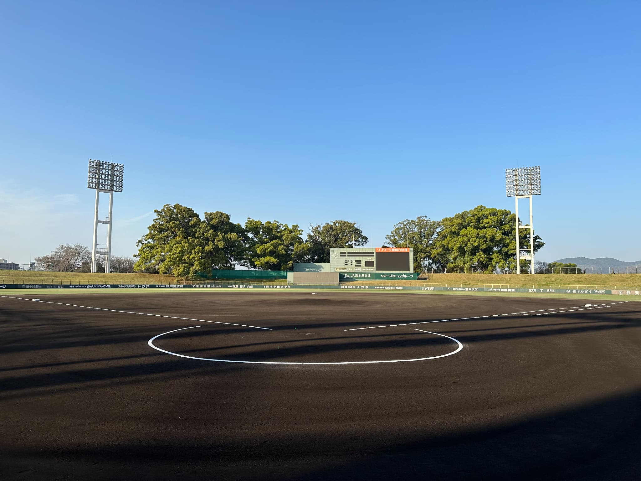 image_50381569