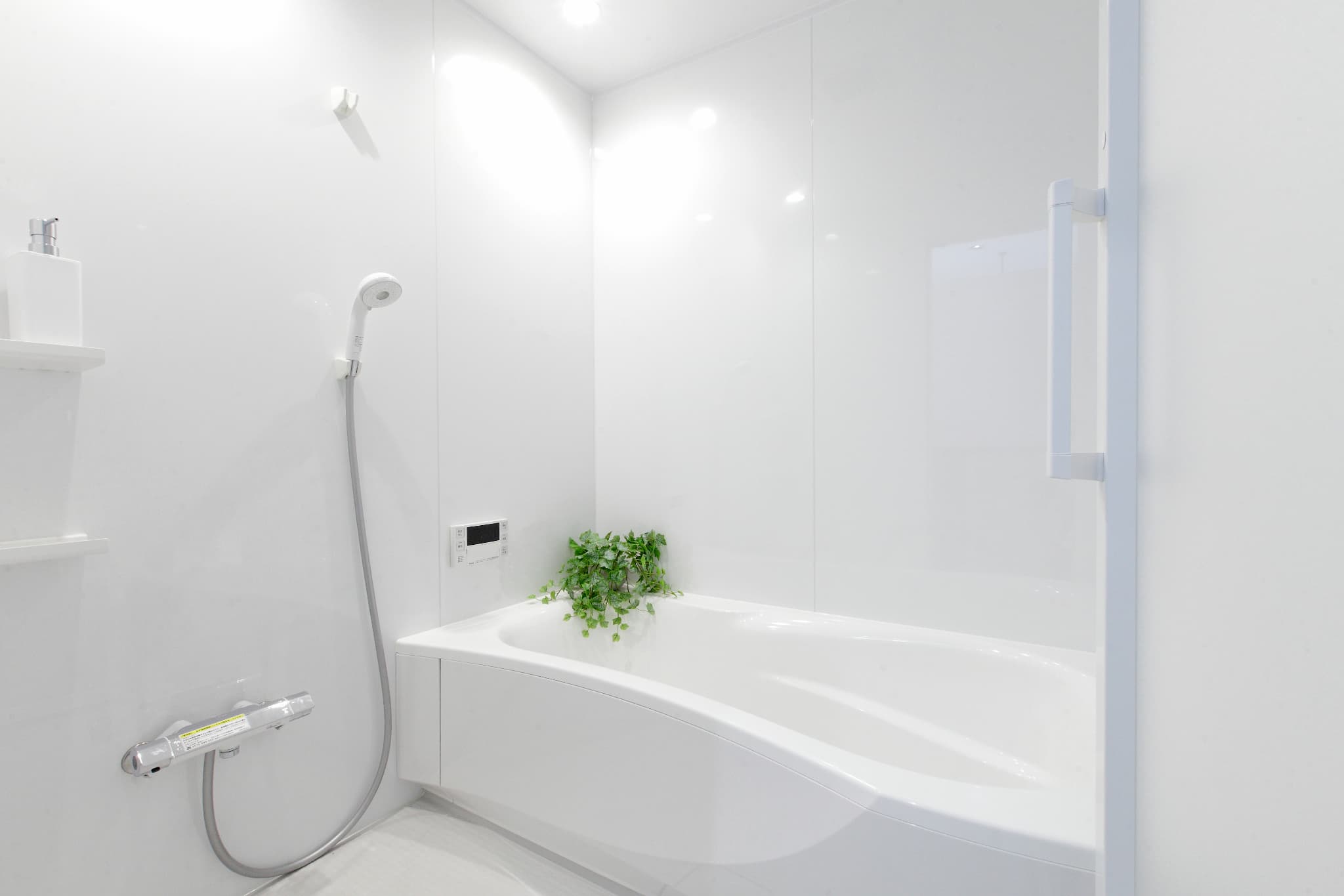 ギャラリー画像